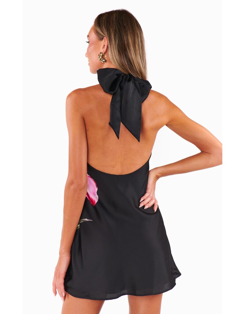 Show Me Your Mumu Jasmine Tie Mini Dress