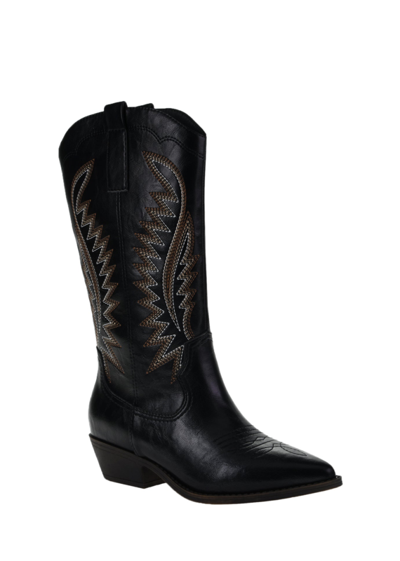 DL1990 Jumble Western Boot