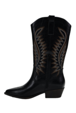 DL1990 Jumble Western Boot