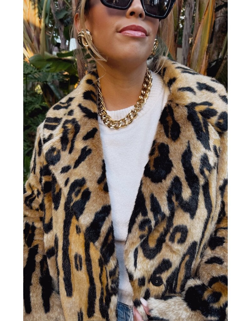 Show Me Your Mumu Miss Cindy Overcoat