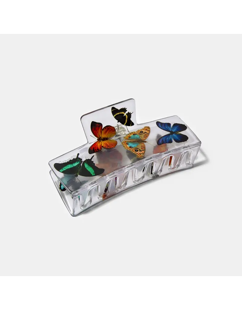 Chunks Butterfly Box Claw