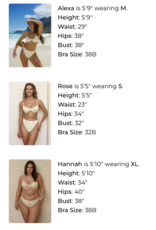 Dippin Daisys West Coast Underwire Bikini Top