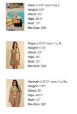 Dippin Daisys Prince Triangle Bikini Top