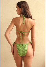 Dippin Daisys Zepplin Cheeky Bikini Bottom