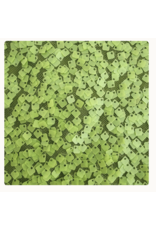 Dippin Daisys Zepplin Cheeky Bikini Bottom