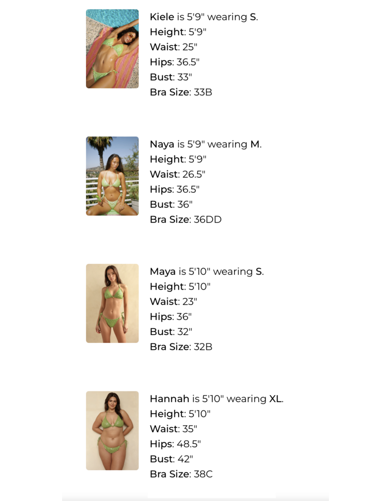 Dippin Daisys Zepplin Cheeky Bikini Bottom