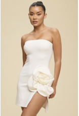 Rosie Strapless Mini Dress