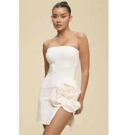 Rosie Strapless Mini Dress