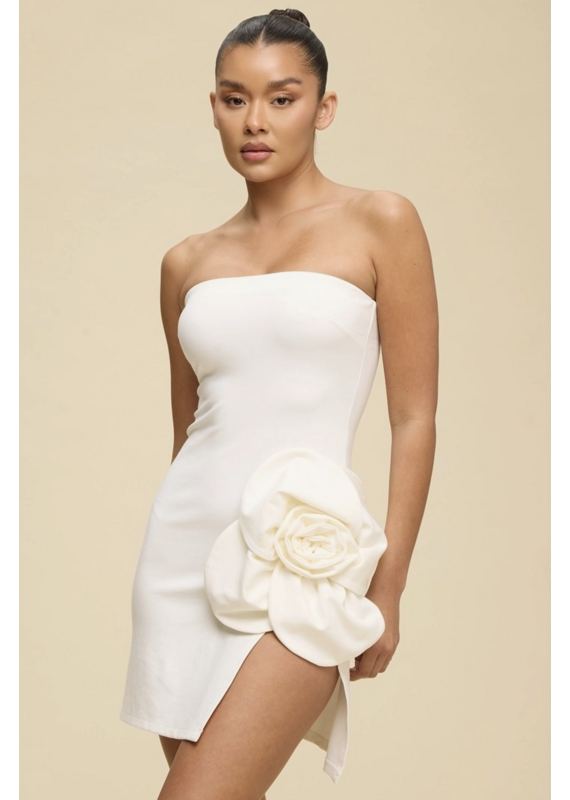 Rosie Strapless Mini Dress