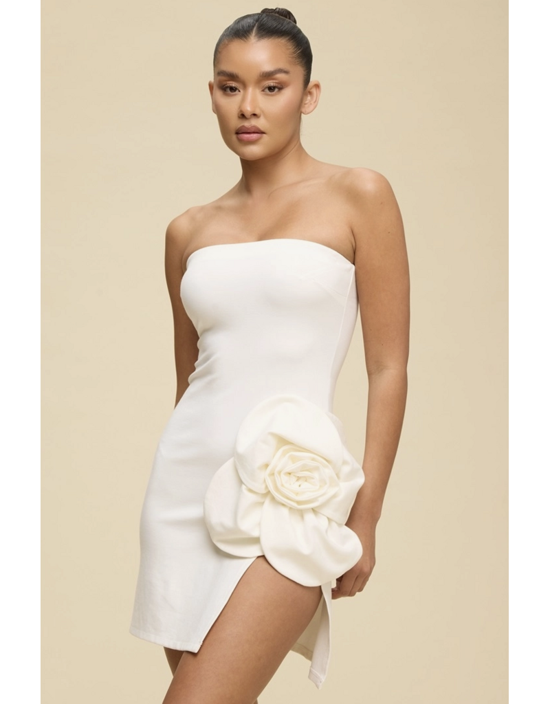 Rosie Strapless Mini Dress