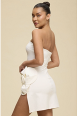 Rosie Strapless Mini Dress