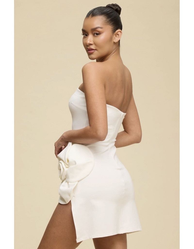 Rosie Strapless Mini Dress