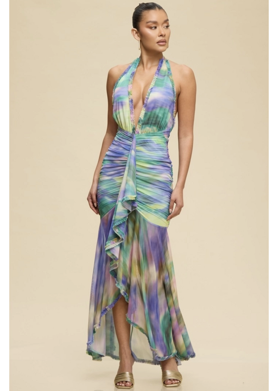 Aurelia Mesh Maxi Dress