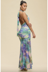 Aurelia Mesh Maxi Dress