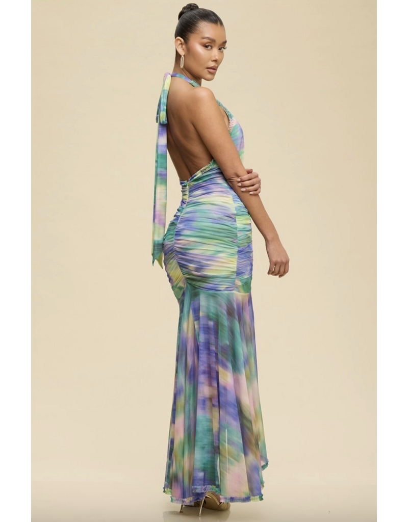 Aurelia Mesh Maxi Dress