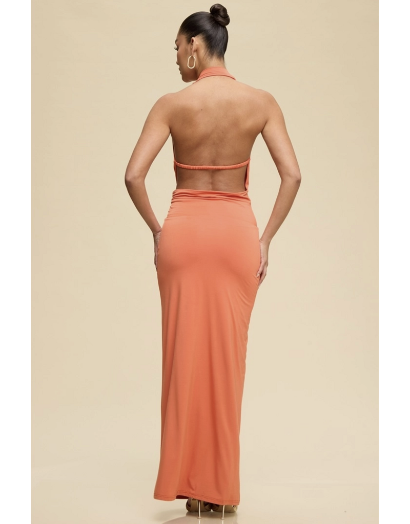Hallie Halter Neck Maxi Dress