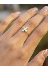 Flanerie Lelandi 18K Gold Non-Tarnish Adjustable Chain Ring