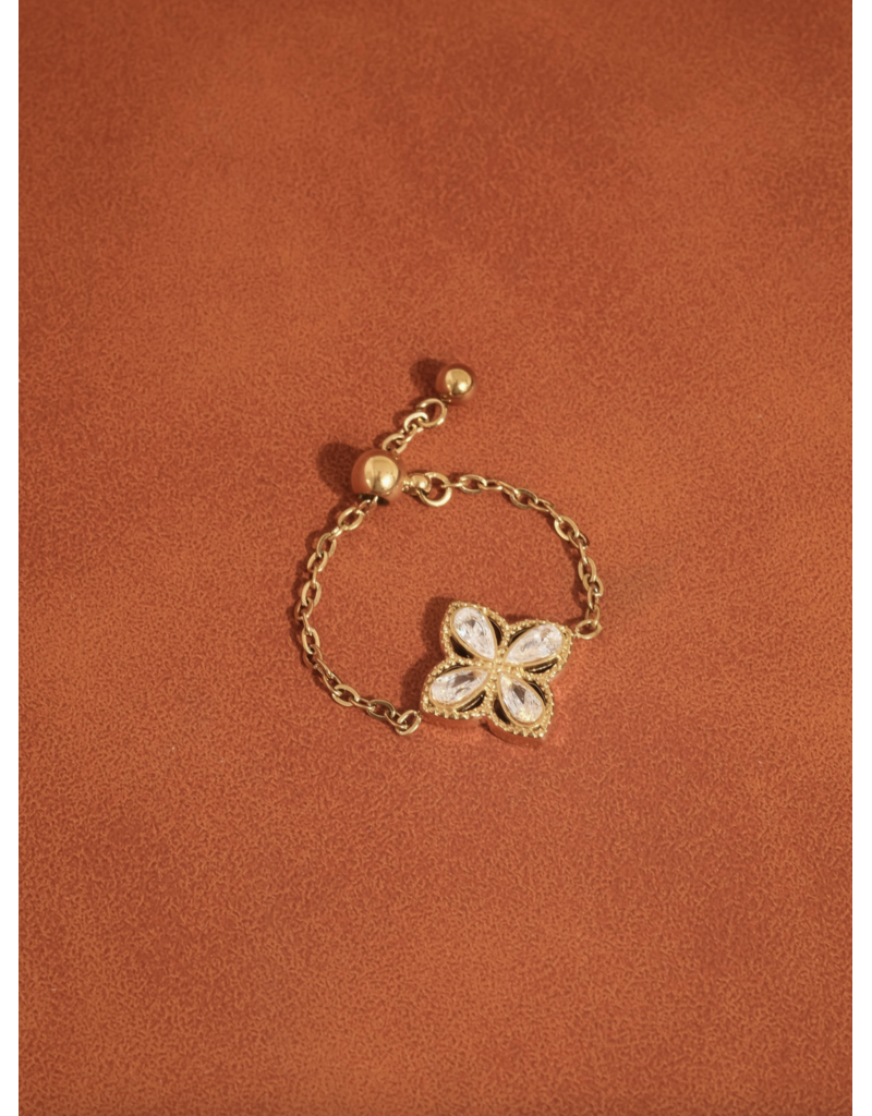 Flanerie Lelandi 18K Gold Non-Tarnish Adjustable Chain Ring