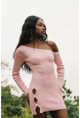 Laporte Swim Minny Dress