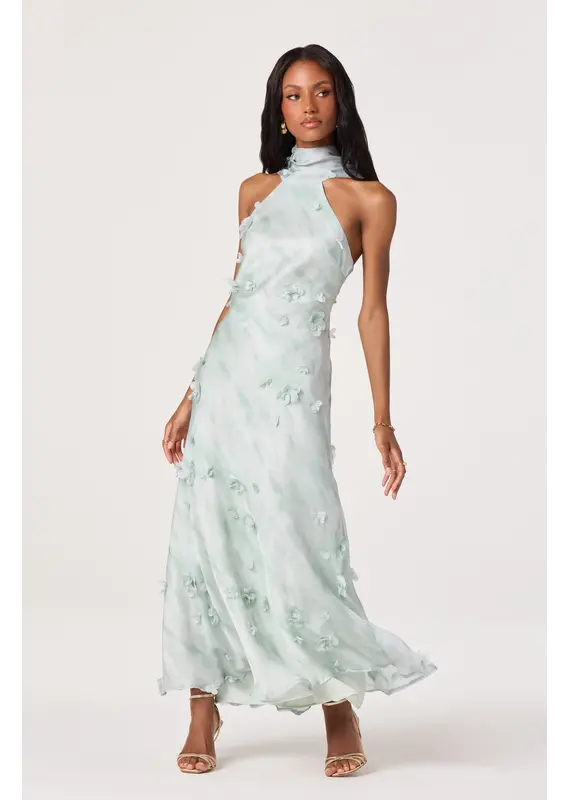 ASTR Ashley 3D Floral Maxi Dress