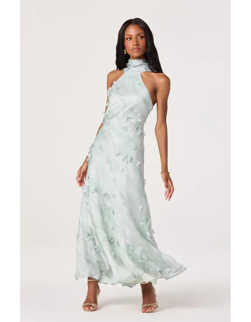 ASTR Ashley 3D Floral Maxi Dress