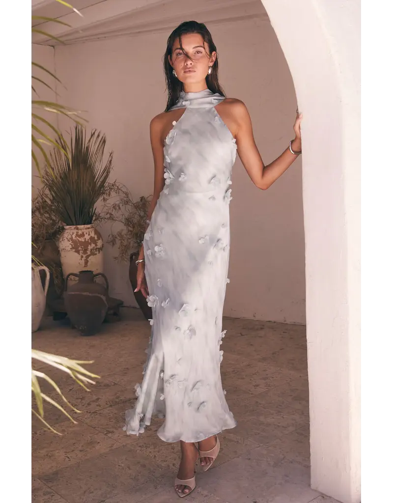 ASTR Ashley 3D Floral Maxi Dress