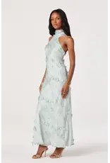 ASTR Ashley 3D Floral Maxi Dress