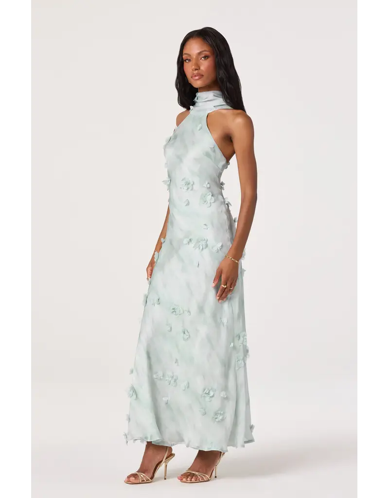 ASTR Ashley 3D Floral Maxi Dress