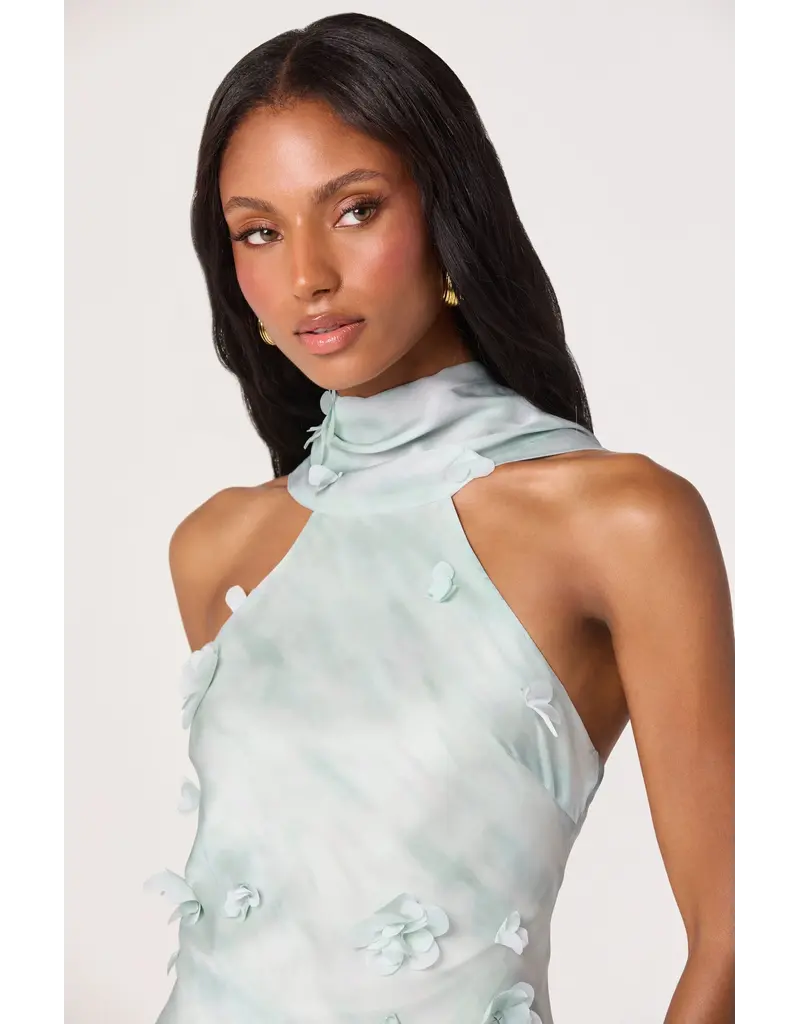 ASTR Ashley 3D Floral Maxi Dress