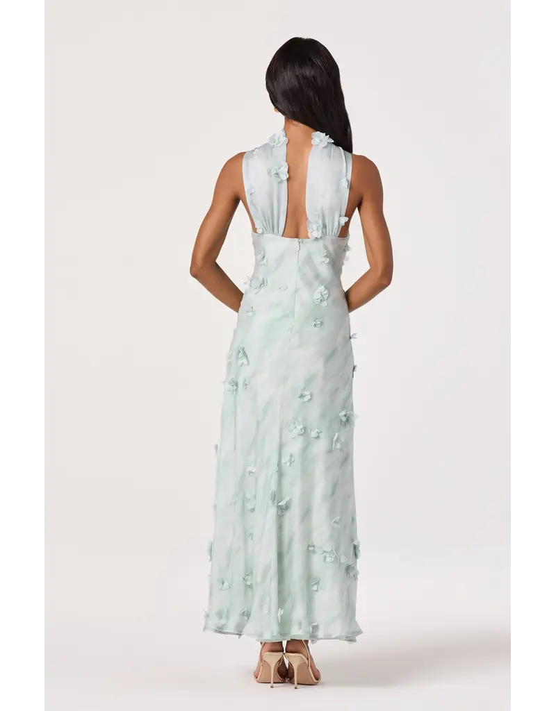 ASTR Ashley 3D Floral Maxi Dress