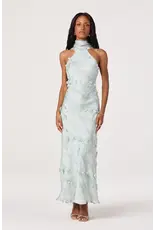 ASTR Ashley 3D Floral Maxi Dress