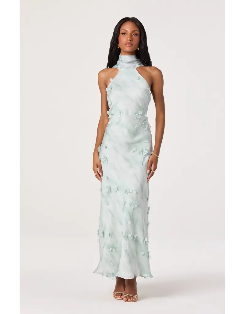 ASTR Ashley 3D Floral Maxi Dress