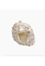 Melie Bianco Marina Natural Shell Crossbody Bag