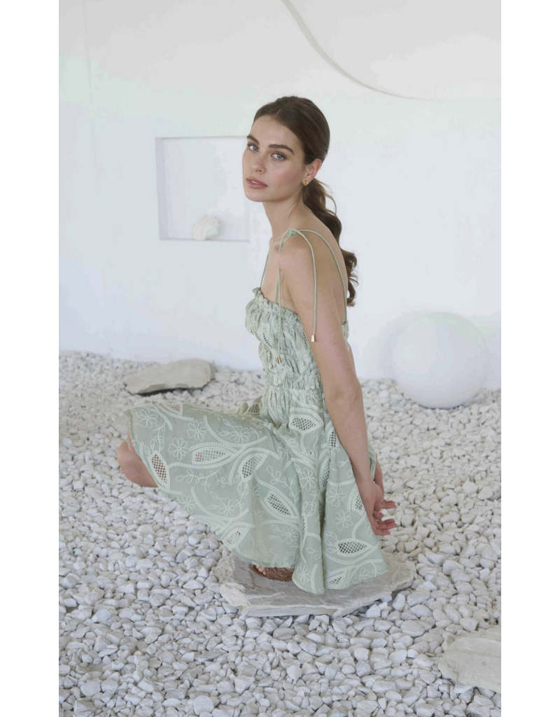 Moon River Elisa Eyelet Embroidery Mini Dress