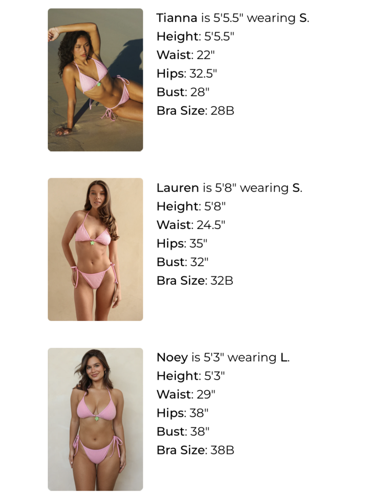 Dippin Daisys Prince Triangle Bikini Top