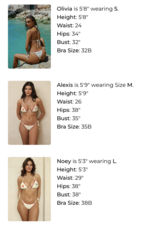 Dippin Daisys Bondi Cheeky Bikini Bottom
