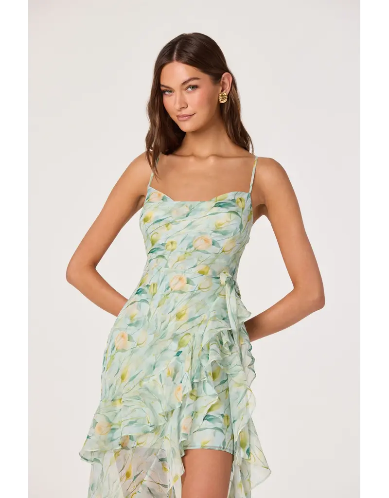 ASTR Candace Cowl Neck High-Low Chiffon Dress