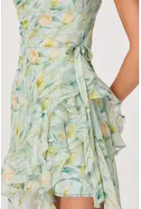 ASTR Candace Cowl Neck High-Low Chiffon Dress