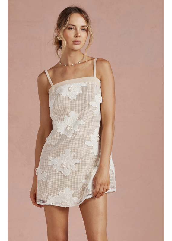 Strut + Bolt Emily Embroidered Mesh Mini Dress
