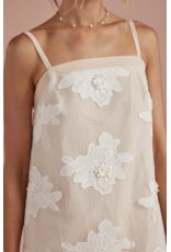 Strut + Bolt Emily Embroidered Mesh Mini Dress