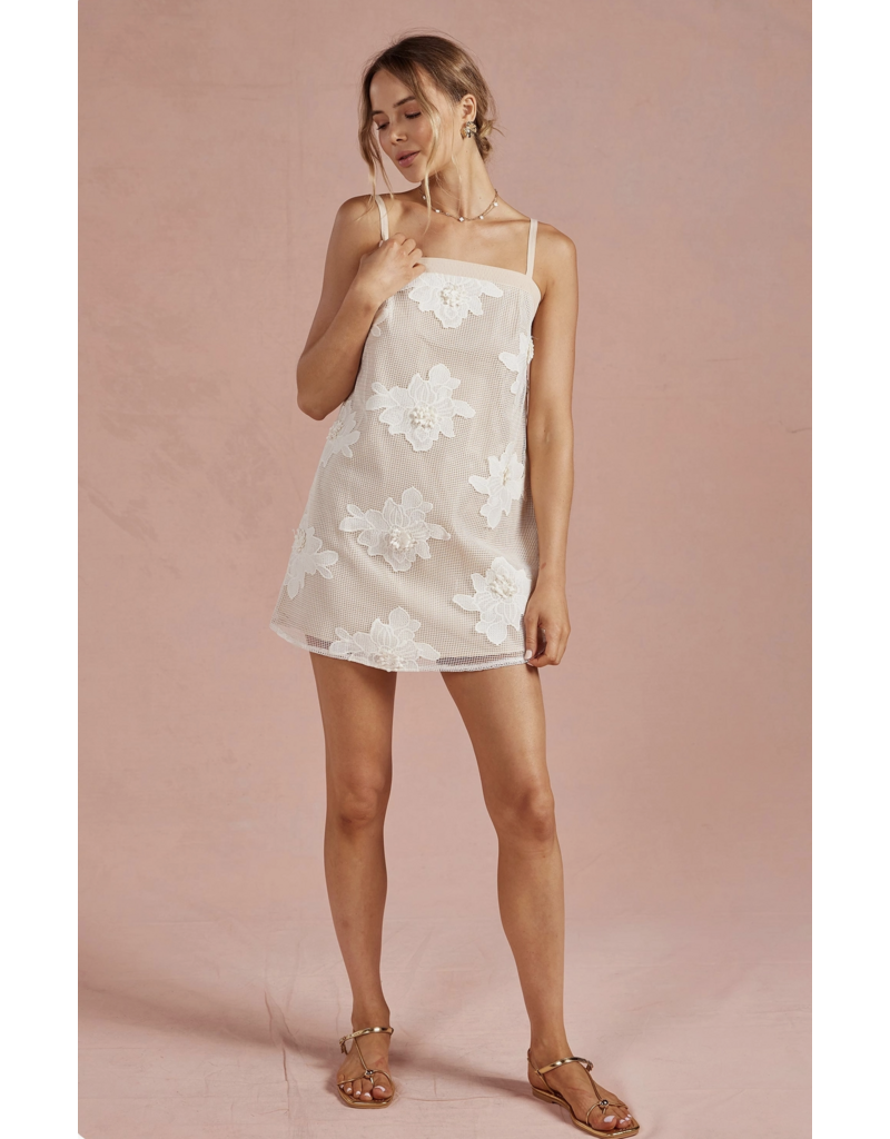 Strut + Bolt Emily Embroidered Mesh Mini Dress