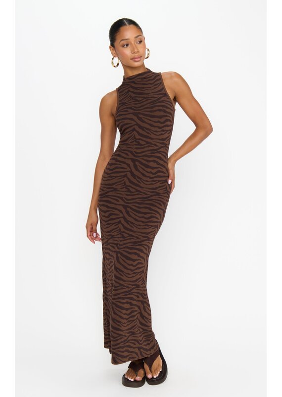 Show Me Your Mumu Shauna Maxi Dress