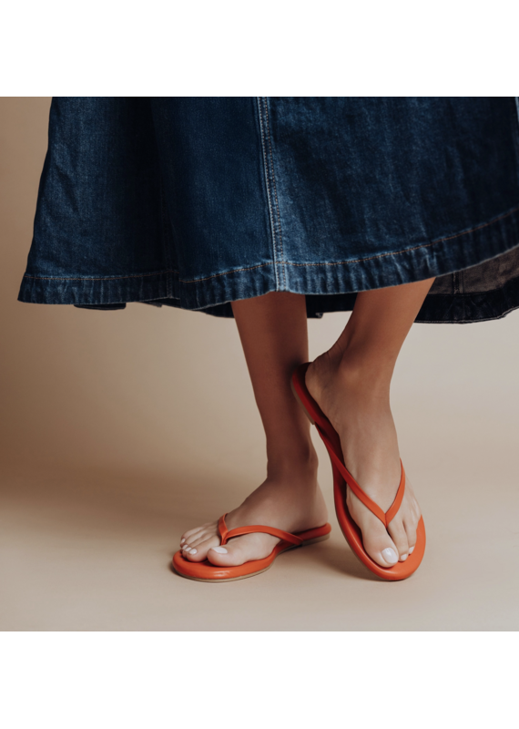 Solei Sea Sandals Indie Classic Sandal