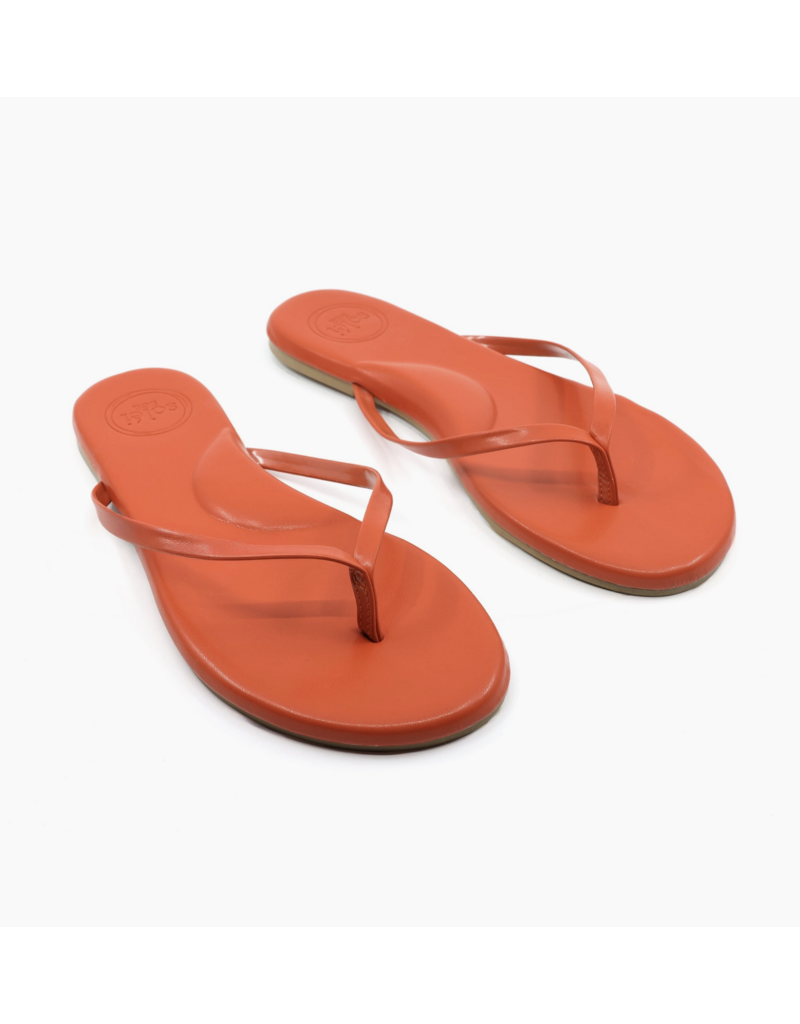 Solei Sea Sandals Indie Classic Sandal
