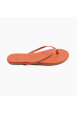 Solei Sea Sandals Indie Classic Sandal