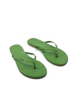 Solei Sea Sandals Indie Classic Sandal