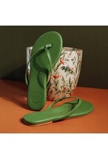 Solei Sea Sandals Indie Classic Sandal