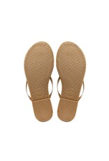 Solei Sea Sandals Indie Classic Sandal