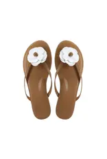 Solei Sea Sandals Valentina Sandal