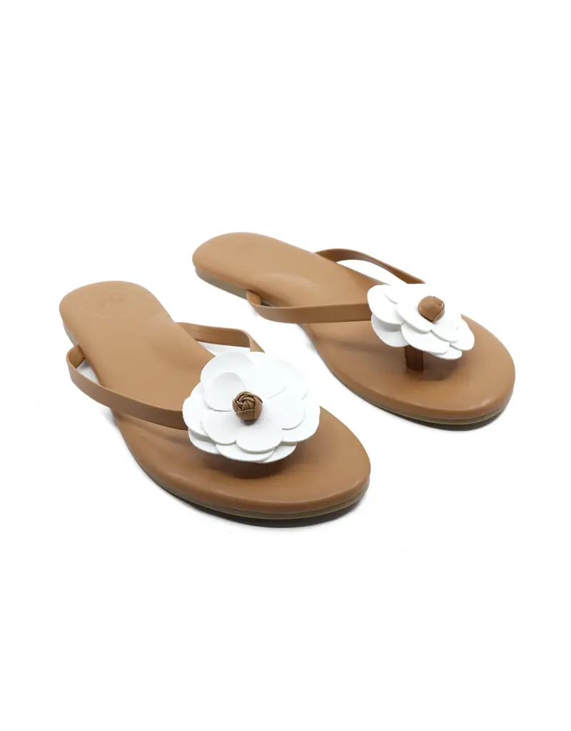 Solei Sea Sandals Valentina Sandal